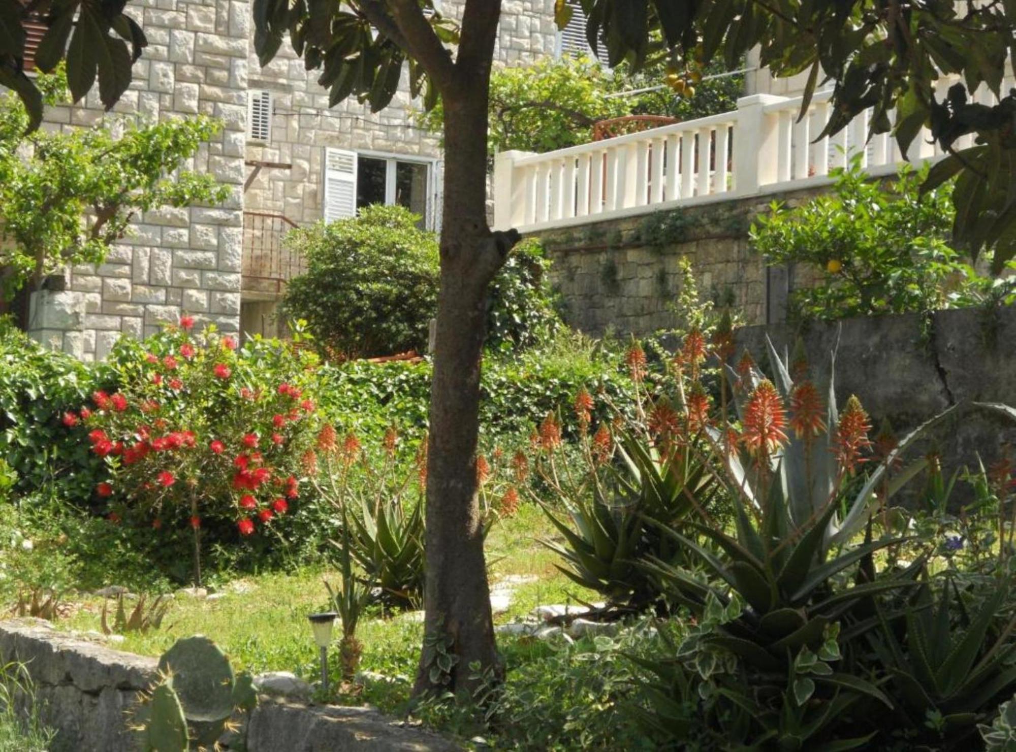 Apartment Plaza Korčula Exterior foto